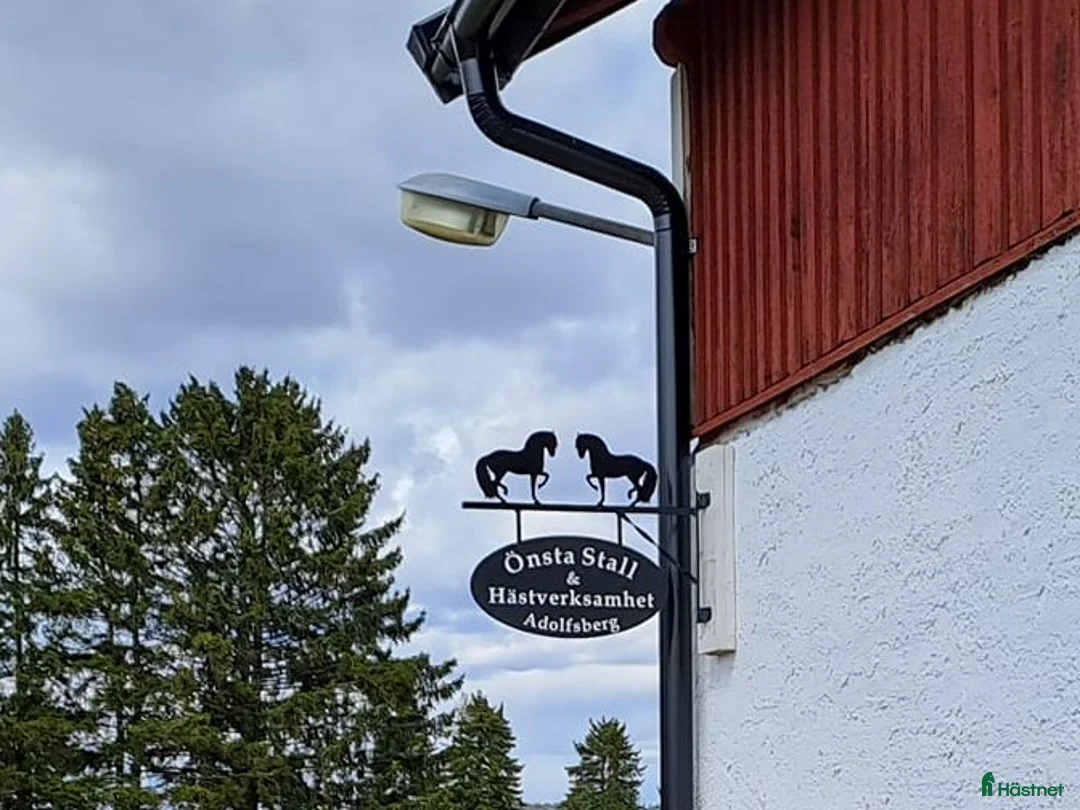  stallplats finnes: Boxplatser och lösdriftplatser lediga i Bro - Annons 11