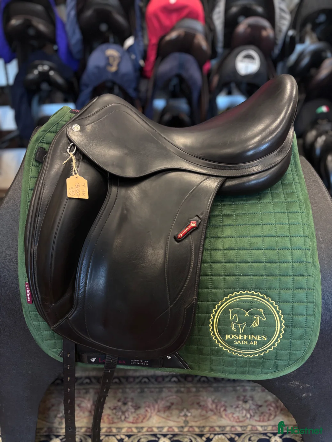 Sadlar hästutrustning till salu: Equipe Olympia ✨ - Annons 1