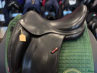 Sadlar hästutrustning Equipe Olympia ✨ - Annons 1