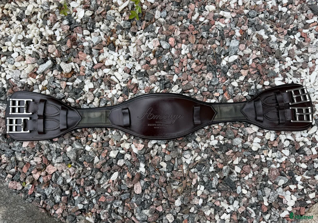Sadeltillbehör hästutrustning till salu: Amerigo sadelgjord - Annons 1