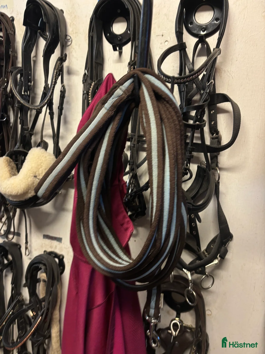 Övrig Hästutrustning hästutrustning till salu: Billiga Shabrak och hästsaker‼️ i Tyresö - Annons 8