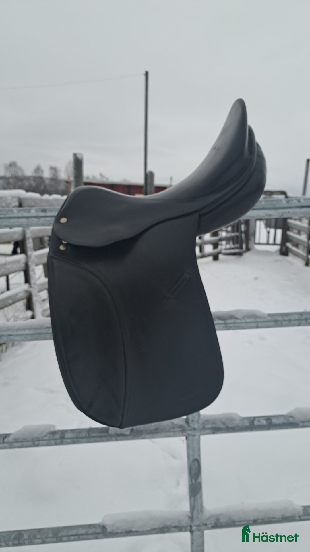 Sadlar hästutrustning till salu: Kvalitet dressyrsadel Röösli svart - Annons 2
