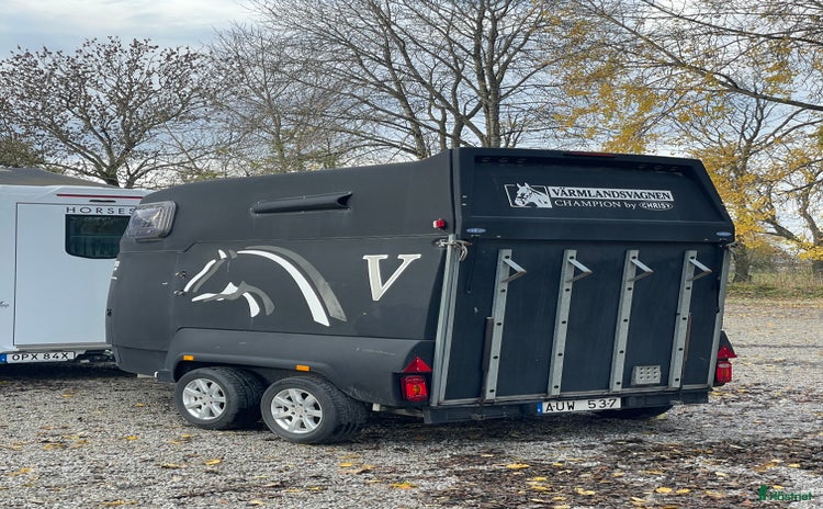 Hästtransporter  fordon & transport till salu i Hurva - Annons 13