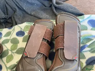 Benskydd hästutrustning Bak och fram benskydd - Annons 2