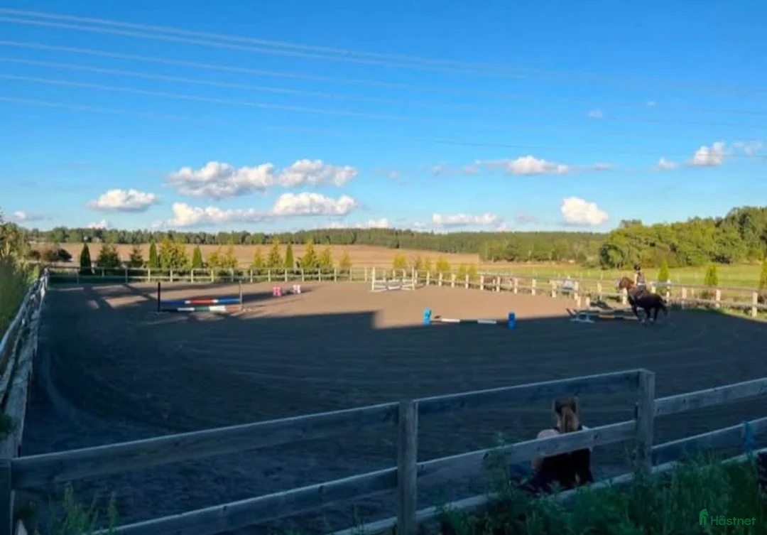  stallplats finnes: Plats på lösdrift  i Munsö - Annons 3