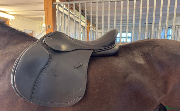 Sadlar hästutrustning till salu i Källby - Annons 19