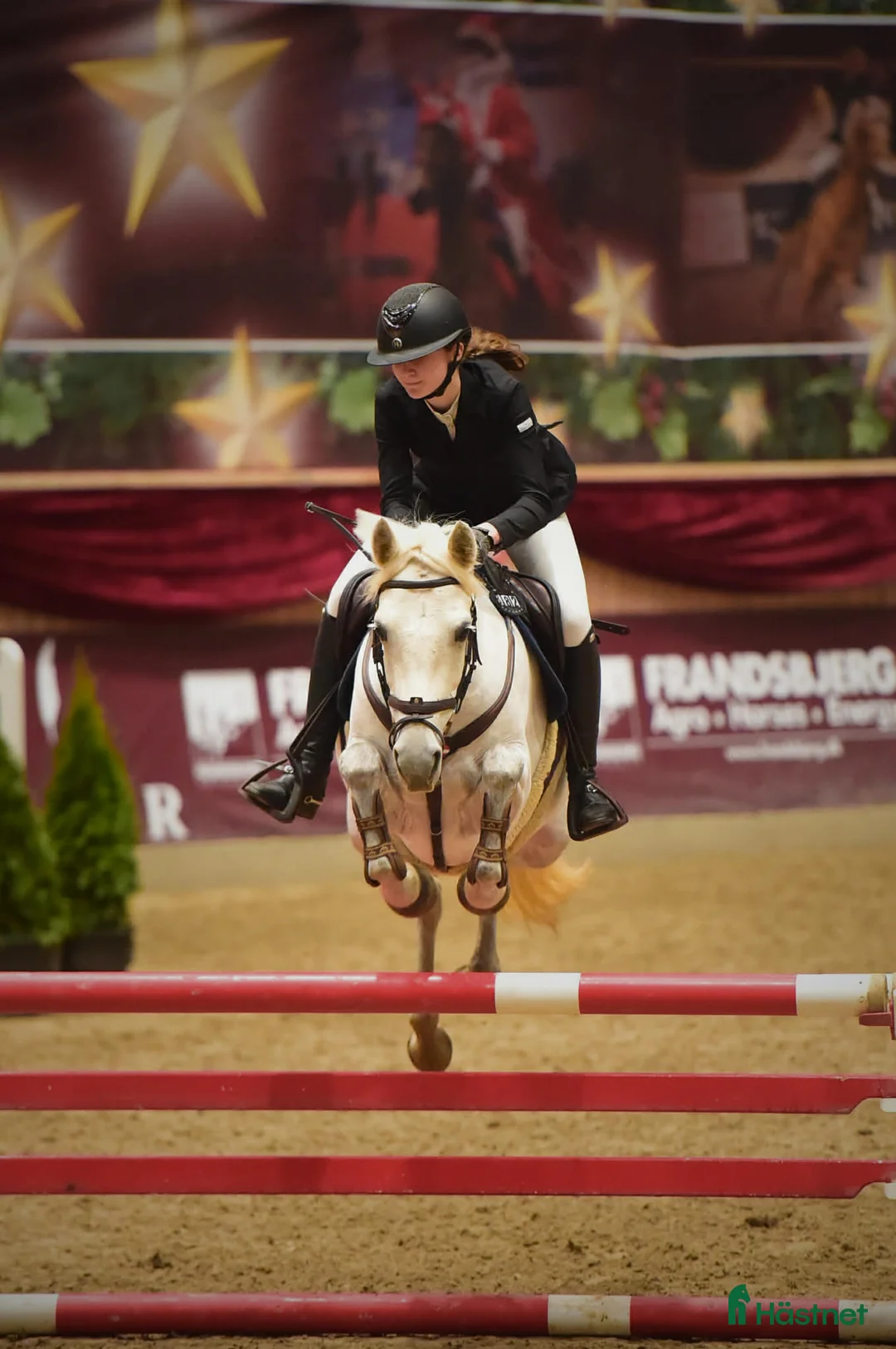 Hoppning hästar till salu: Spring pony til store stævner  - Annons 2