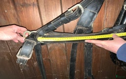 Körselar körning till salu: Loksele i Vimmerby - Bild 9