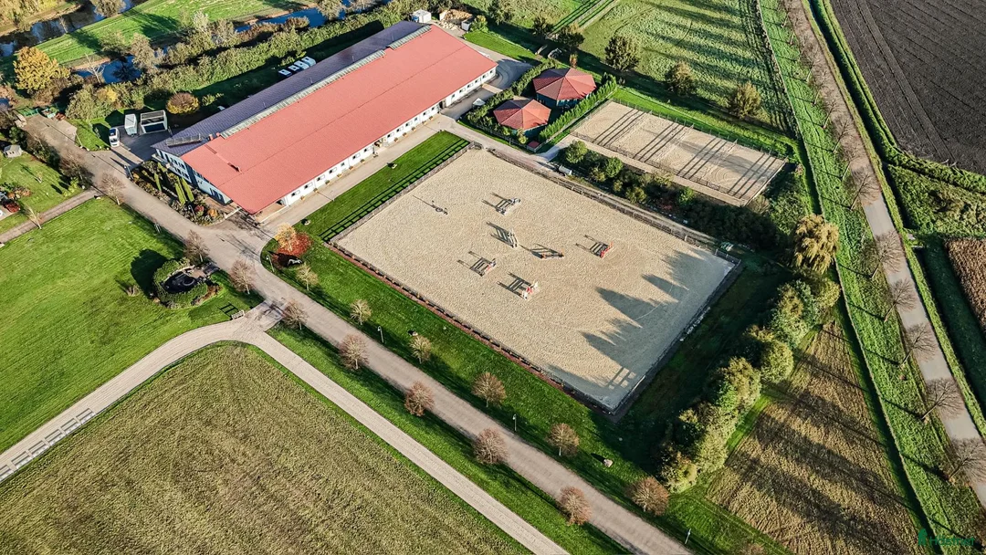  hästjobb finnes: HORSE GROOM / STABLE STAFF WANTED i Helsingborg - Annons 1