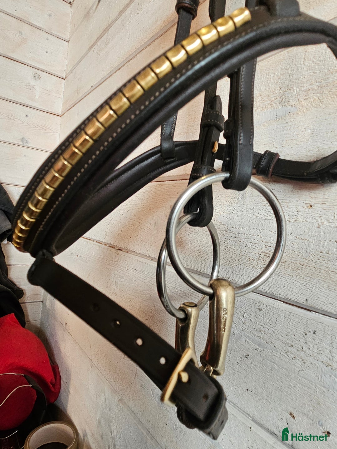 Träns hästutrustning till salu: Ps träns antwerpen i Hackås - Annons 2