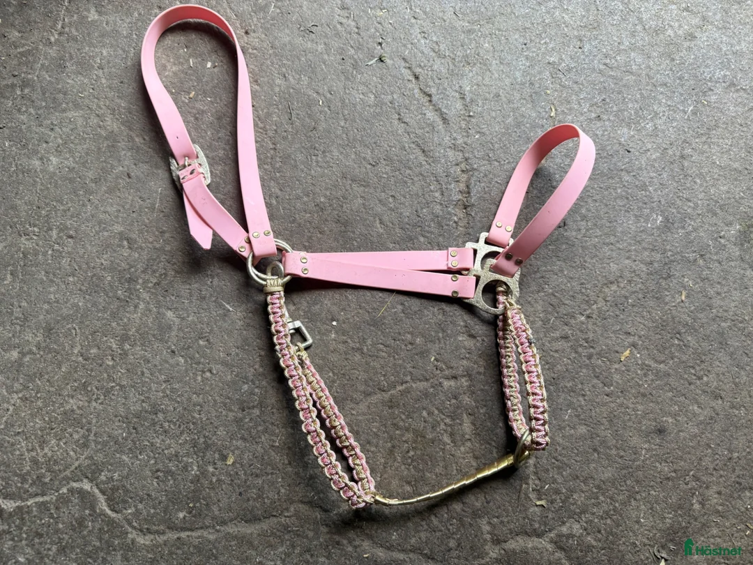 Övrig Hästutrustning hästutrustning till salu: Rosa grimma biothane och paracord - Annons 2