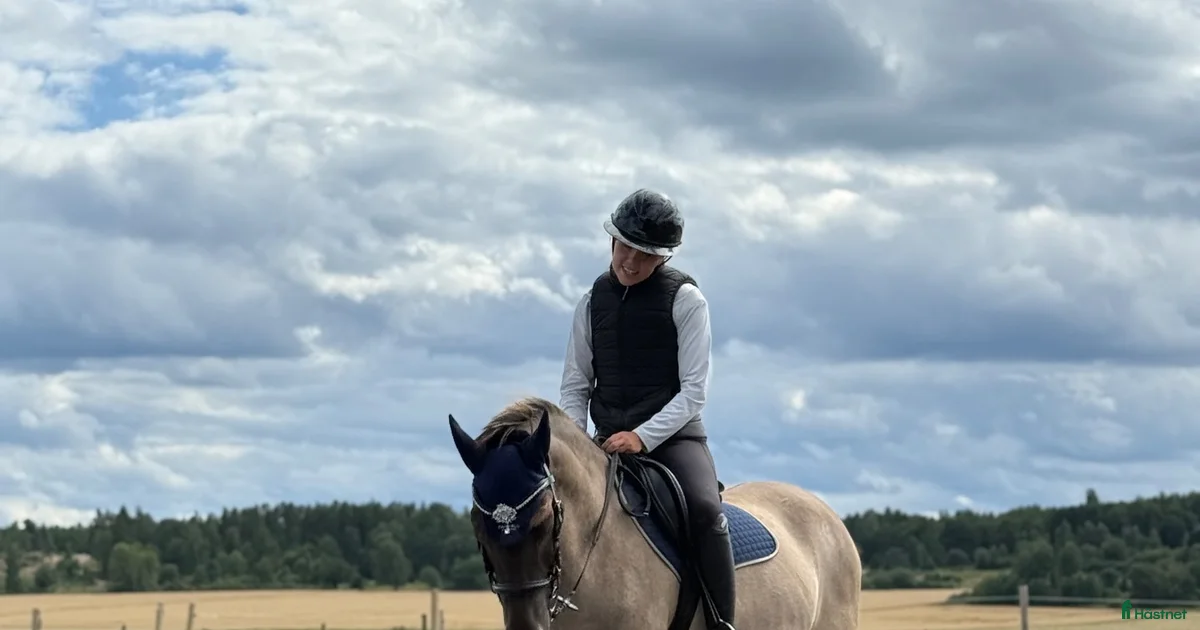 Amanda Koen Intressekoll C-ponny till salu i Skärblacka | Hästnet