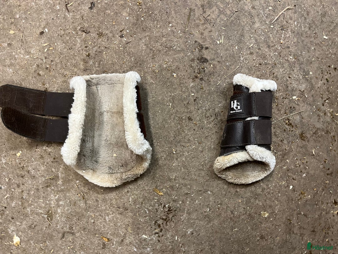 Benskydd hästutrustning till salu: Bruna damasker i Landsbro - Annons 2