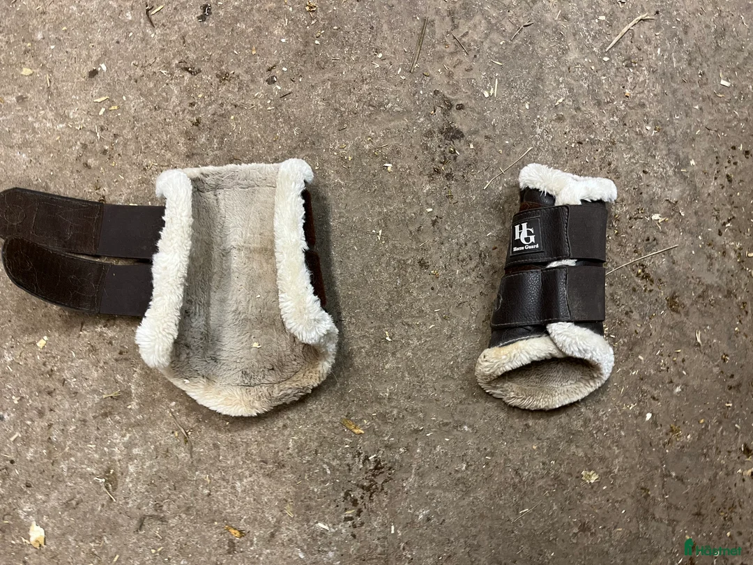 Benskydd hästutrustning till salu: Bruna damasker i Landsbro - Annons 2