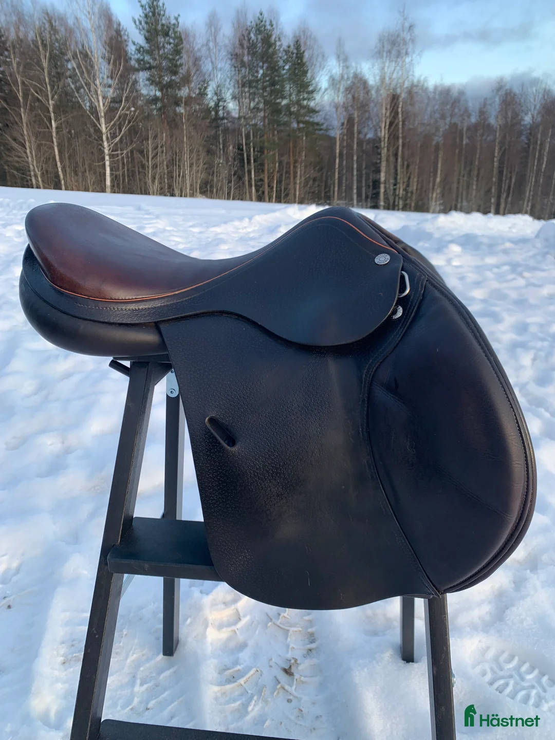 Sadlar hästutrustning till salu: Equipe Expression 15,5 tum i Falun - Annons 4