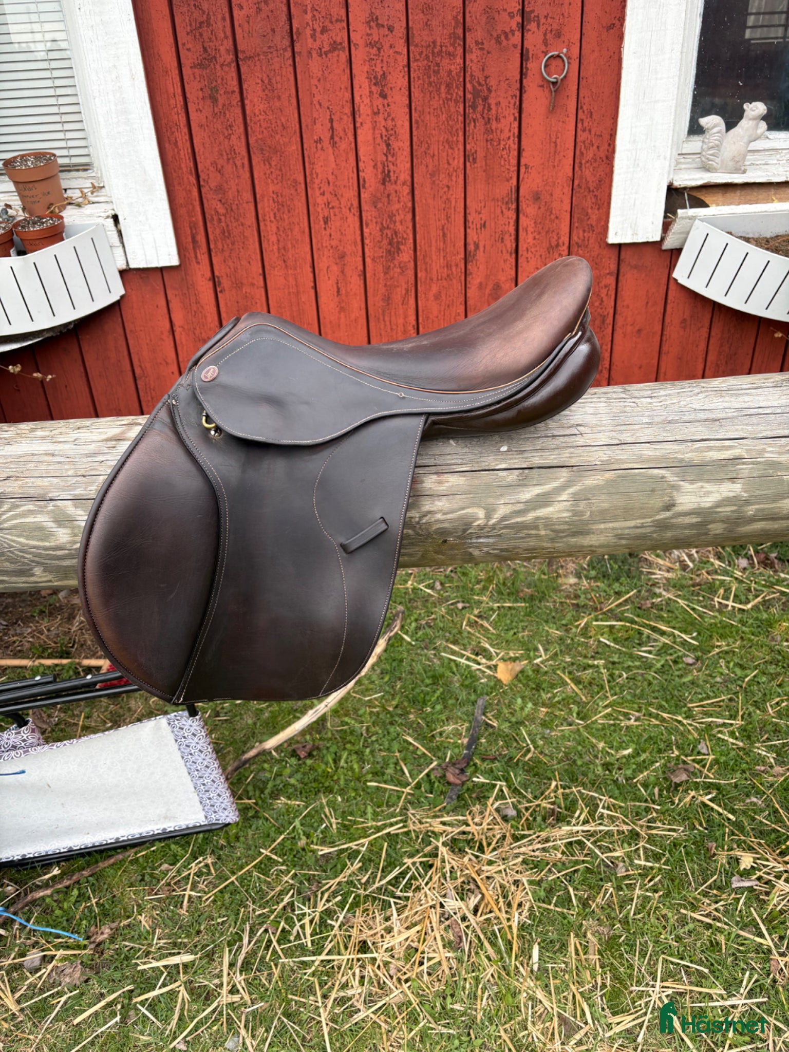 Sadlar hästutrustning Lippo Fazzino hoppsadel brun - Annons 9