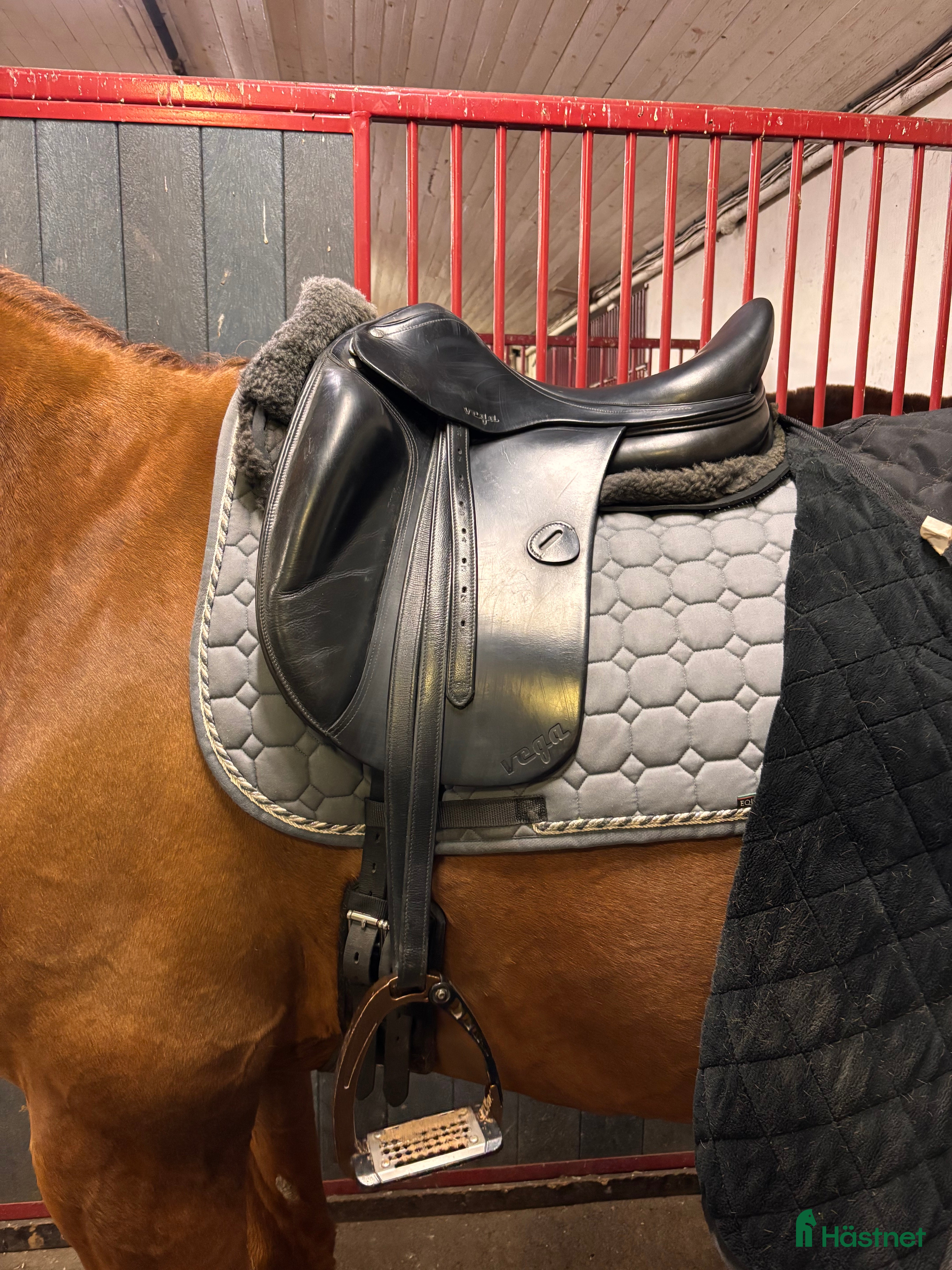 Sadlar hästutrustning Amerigo Vega  - Annons 4