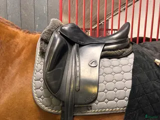 Sadlar hästutrustning Amerigo Vega - Annons 4