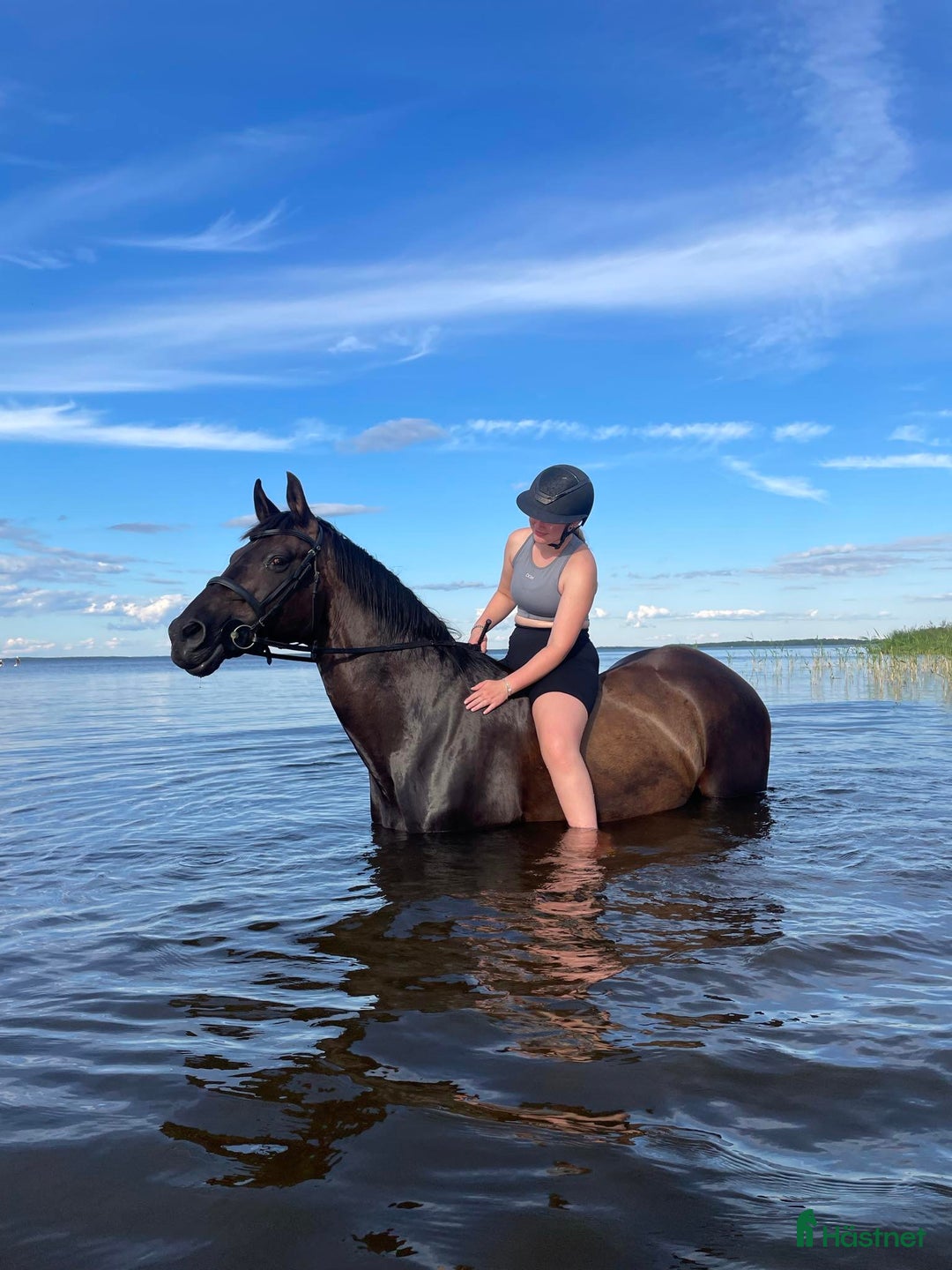  foderhäst sökes: Söker en hoppglad kompis!  i Kil - Annons 2