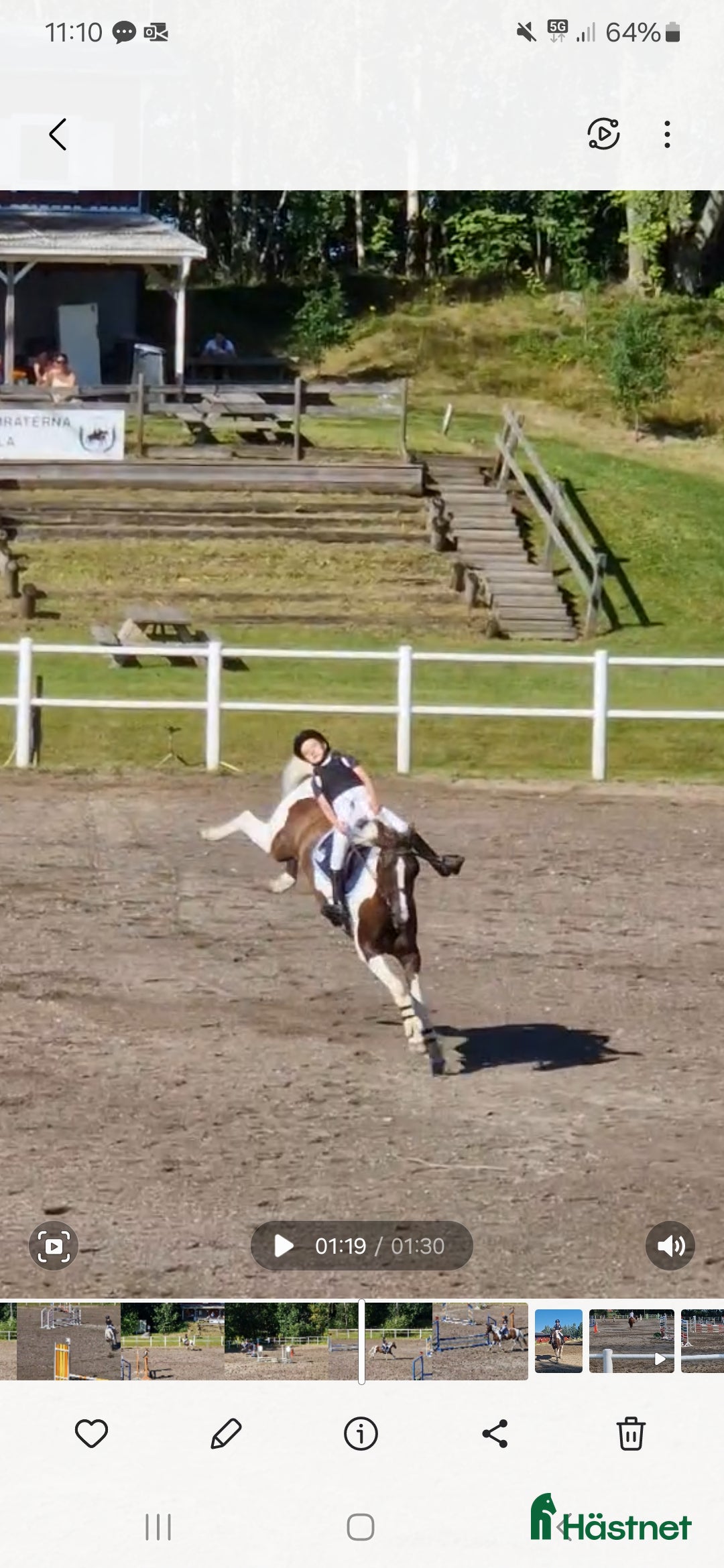 Sadlar hästutrustning till salu: Ponnysadel hoppning 15 tum  i Månkarbo - Annons 6