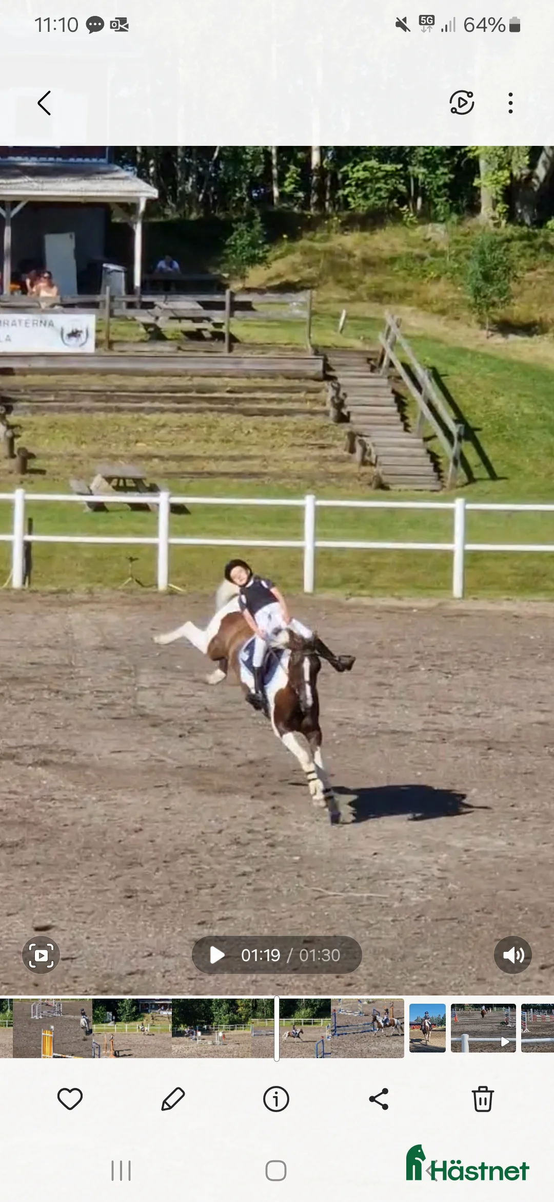 Sadlar hästutrustning till salu: Ponnysadel hoppning 15 tum  i Månkarbo - Annons 6