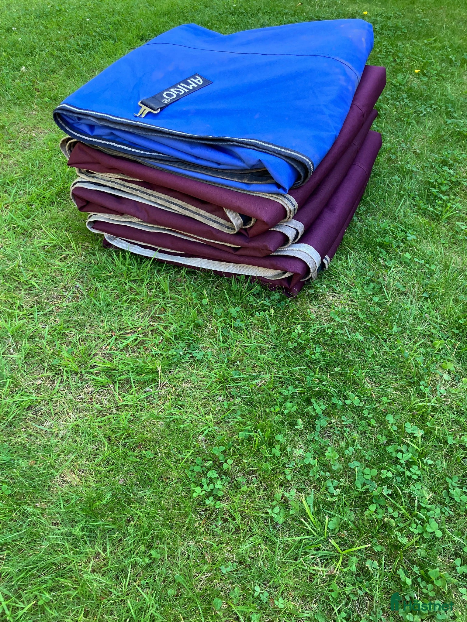 Täcken hästutrustning Horseware - Annons 13