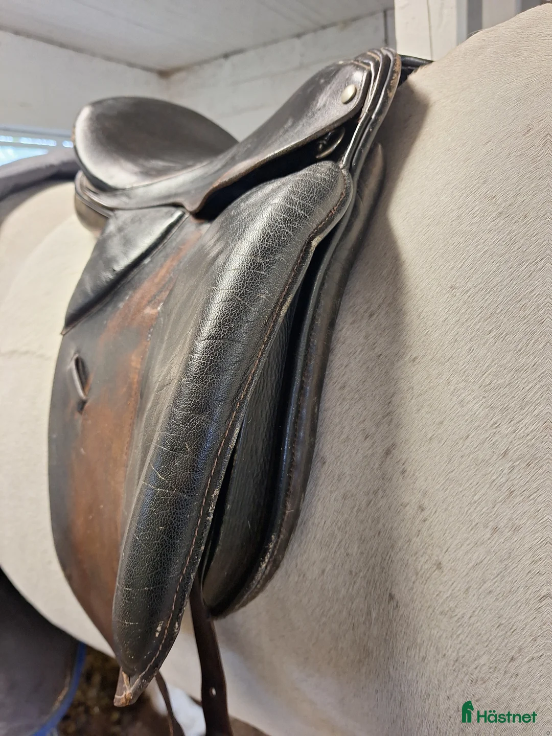 Sadlar hästutrustning till salu: Dressyrsadel till salu i Sturkö - Annons 7