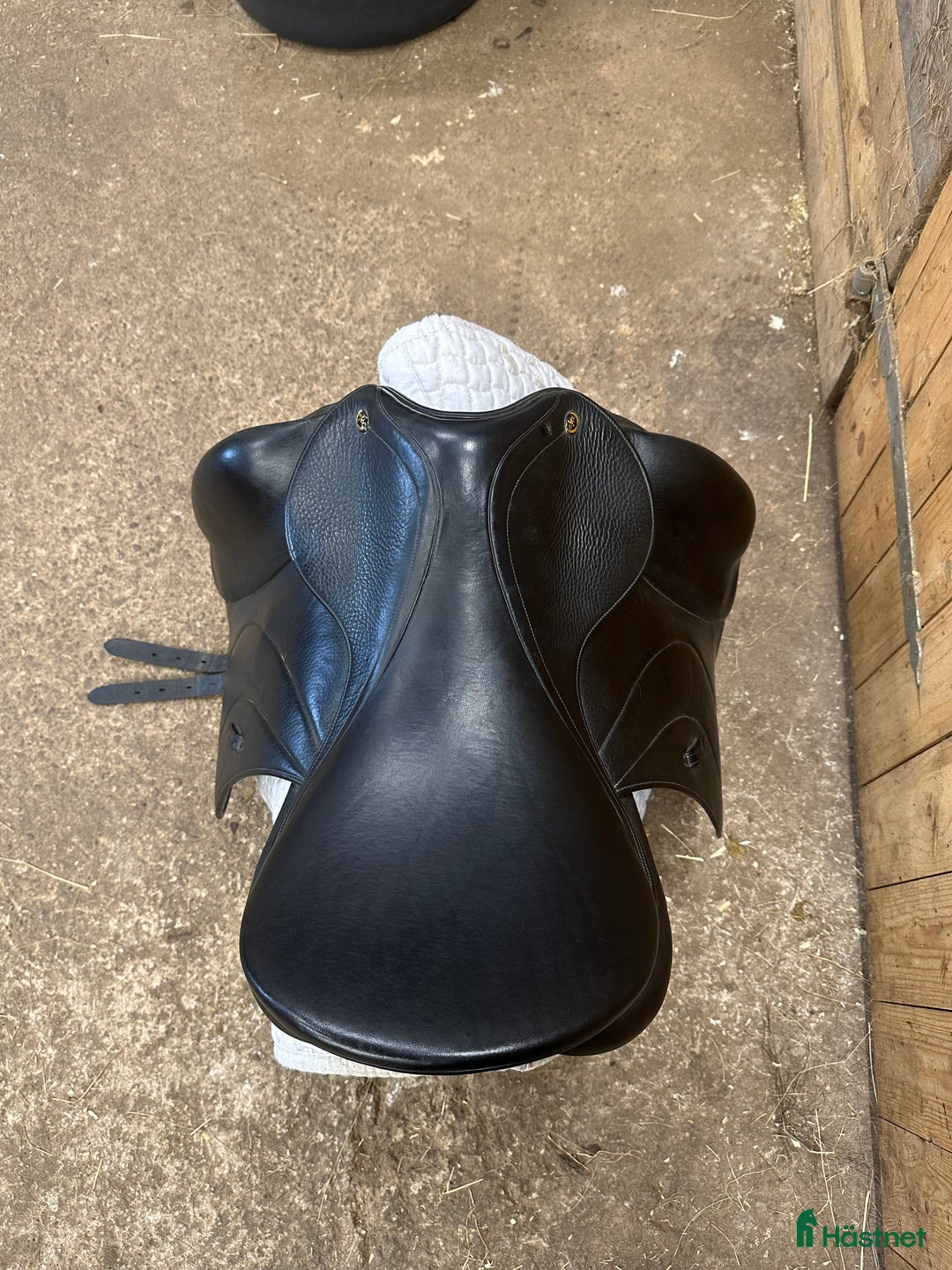 Sadlar hästutrustning till salu: Ordo Equester Venus  i Skillingaryd - Annons 3