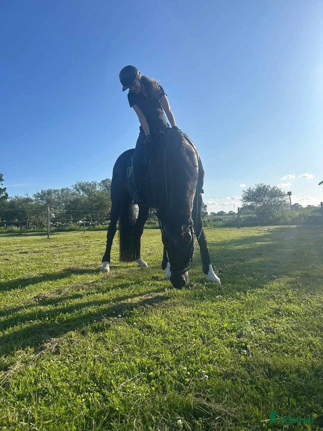  stallplats finnes: Boxplats i Påarp, Helsingborg i Påarp - Annons 4