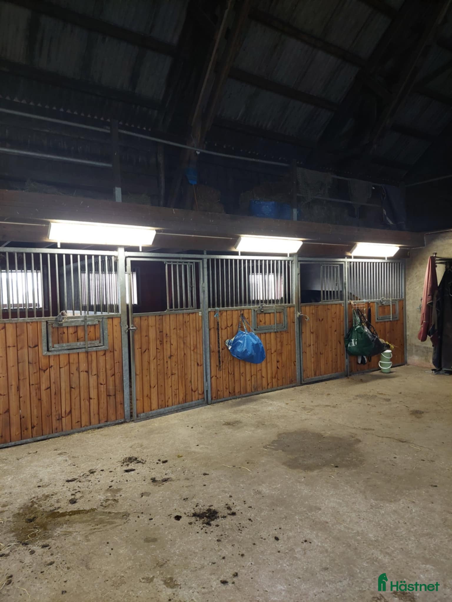  stallplats Boxplatser uthyres i Staffanstorp - Annons 15