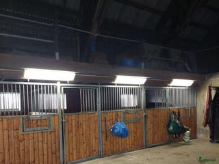 stallplats Boxplatser uthyres i Staffanstorp - Annons 6