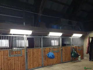 stallplats Boxplatser uthyres i Staffanstorp - Annons 3