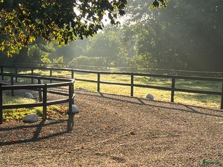 stallplats finnes i Kävlinge - Annons 2