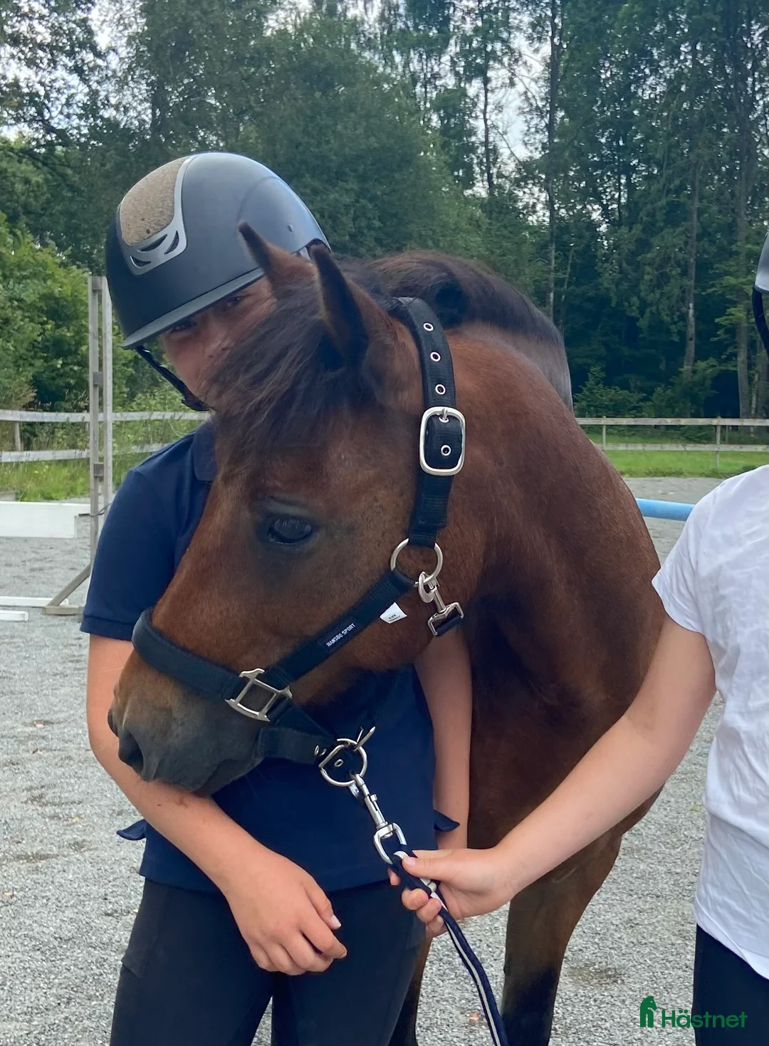 Allround hästar till salu: Sötaste Rocky ❤️ - Annons 2