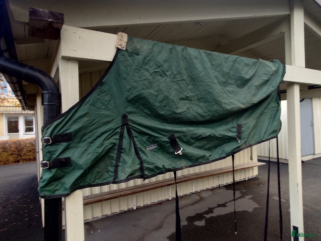 Täcken hästutrustning till salu: Fräscht grönt hästtäcke  i Kista - Annons 3