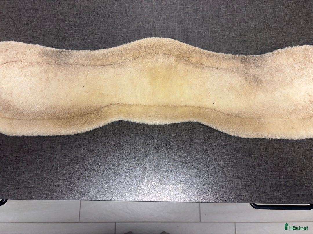 Sadeltillbehör hästutrustning till salu: Dressyrgjord med fluff i Landskrona - Annons 2