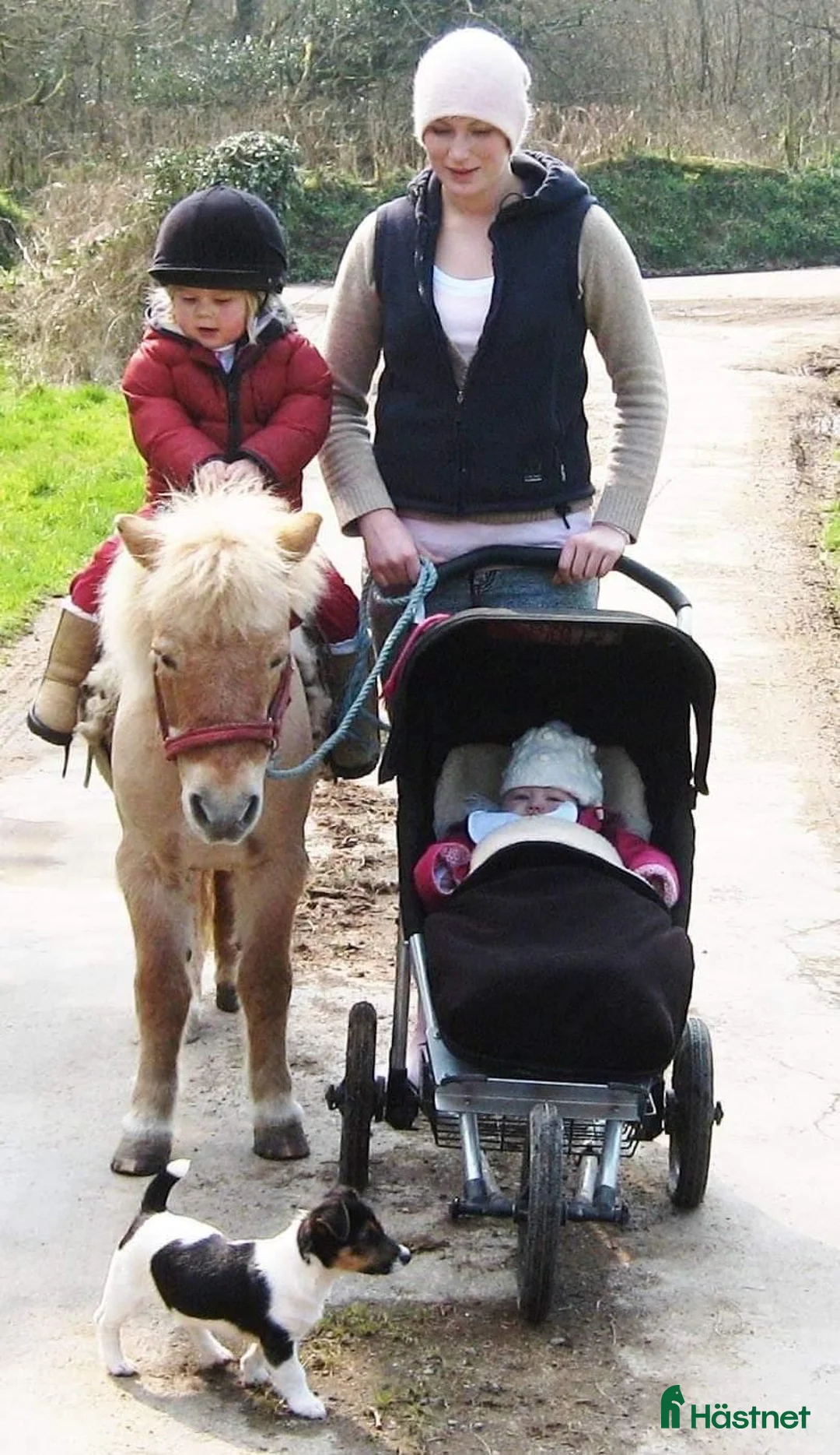  hästjobb finnes: Horse job in Ireland - Annons 1