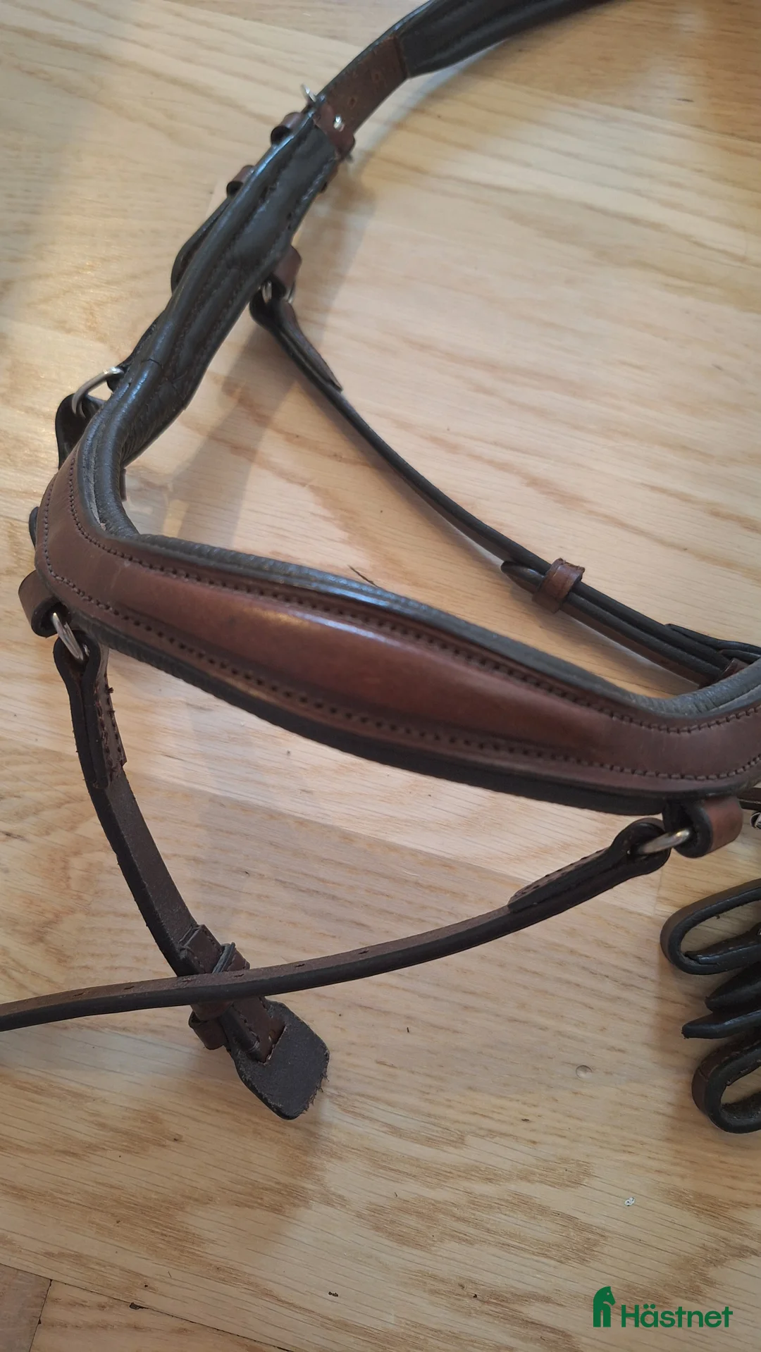 Träns hästutrustning till salu: Träns eqviptus storlek xs (shetland) i Sandarne - Annons 4