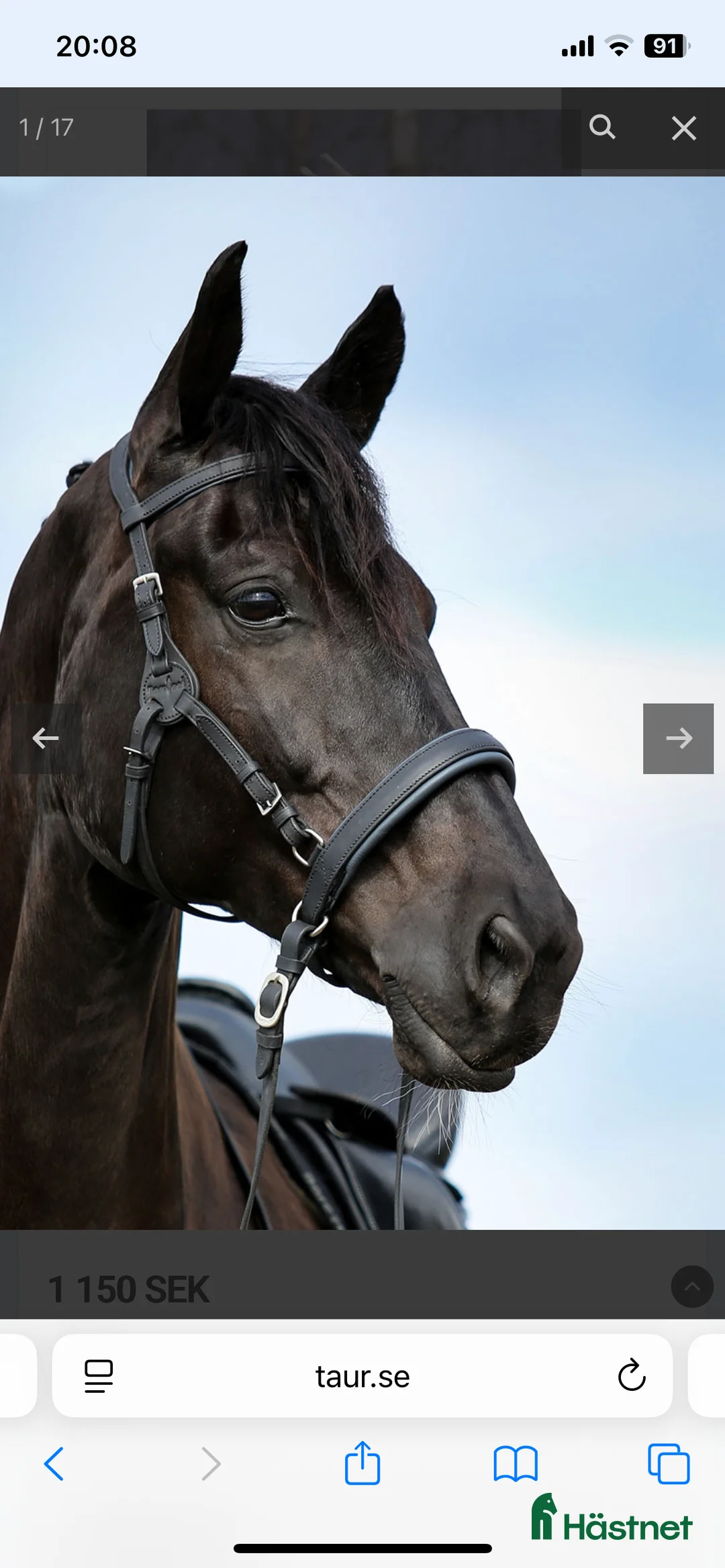 Träns hästutrustning till salu: Anatomiskt huvudlag i Visby - Annons 3