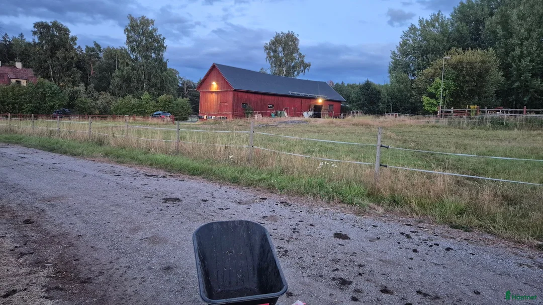  stallplats finnes: Boxplats för valack  - Annons 2