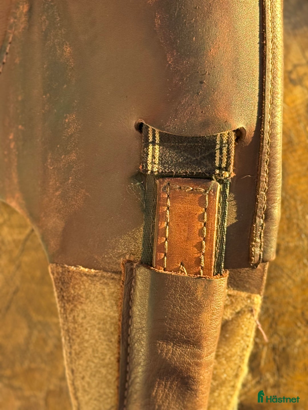 Sadlar hästutrustning till salu: Prestige D1 Zero K brun 17’ M  i Västervik - Annons 7