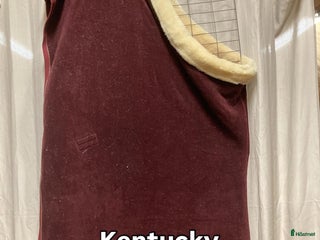 Övrig Hästutrustning hästutrustning till salu: Secondhandbutik - Annons 1