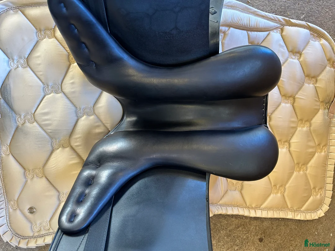 Sadlar hästutrustning till salu: Amerigo Pasubio Pinerolo  - Annons 4