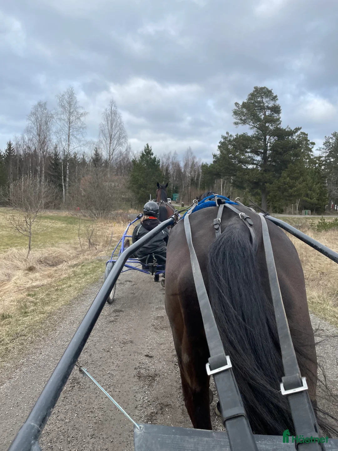  stallplats finnes: Stall med bra rid/körvägar, lång utevistelse i Tungelsta - Annons 9