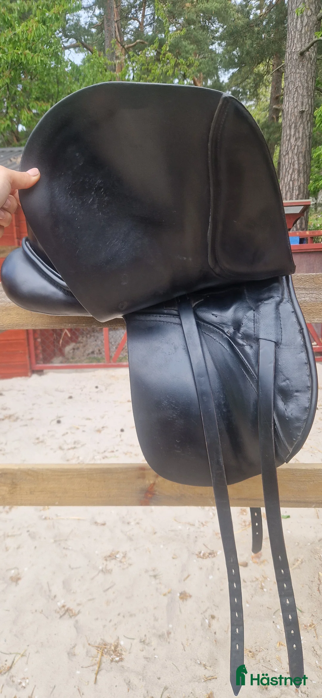 Sadlar hästutrustning till salu: Passier Optimum  i Svartsjö - Annons 2