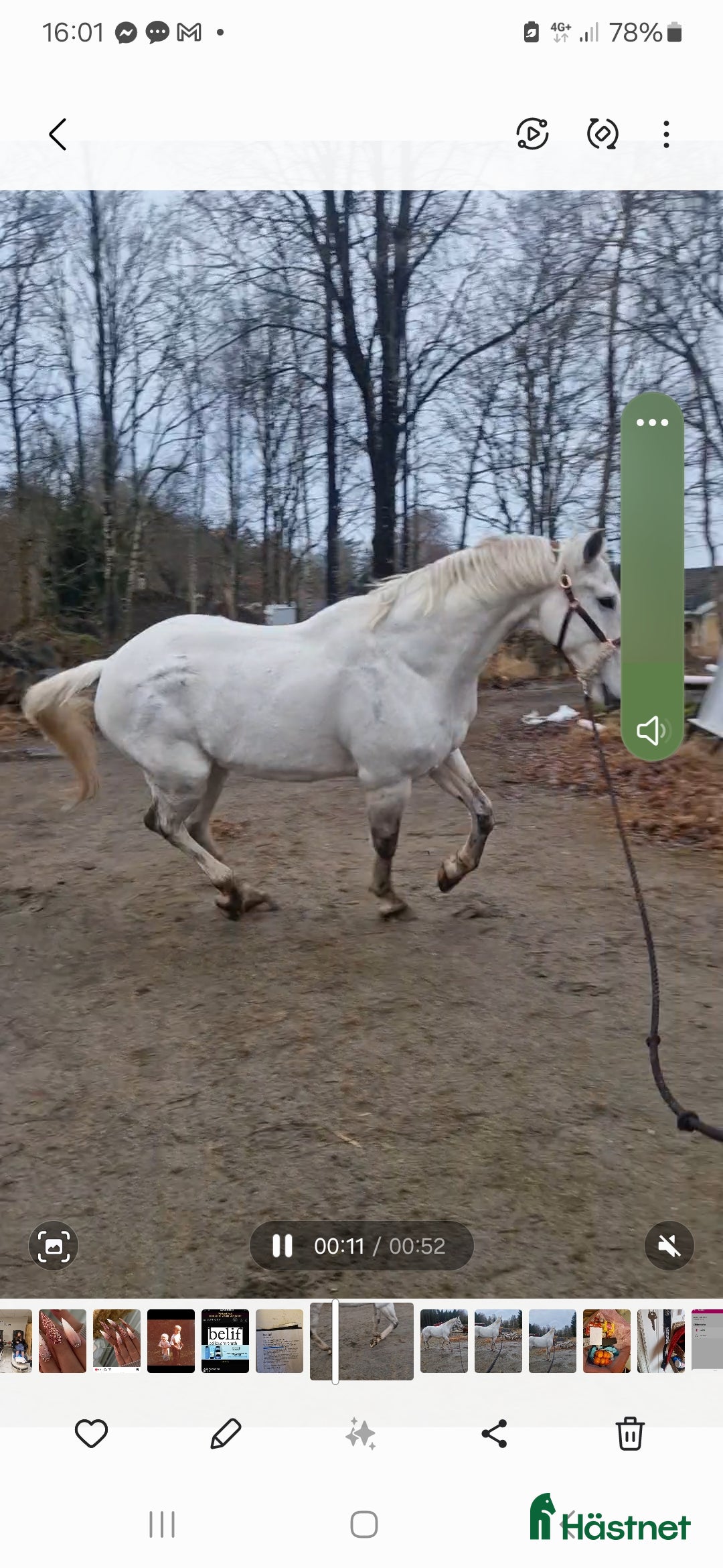  stallplats finnes: Mysigt stall och lösdrift i lindome  i Lindome - Bild 12