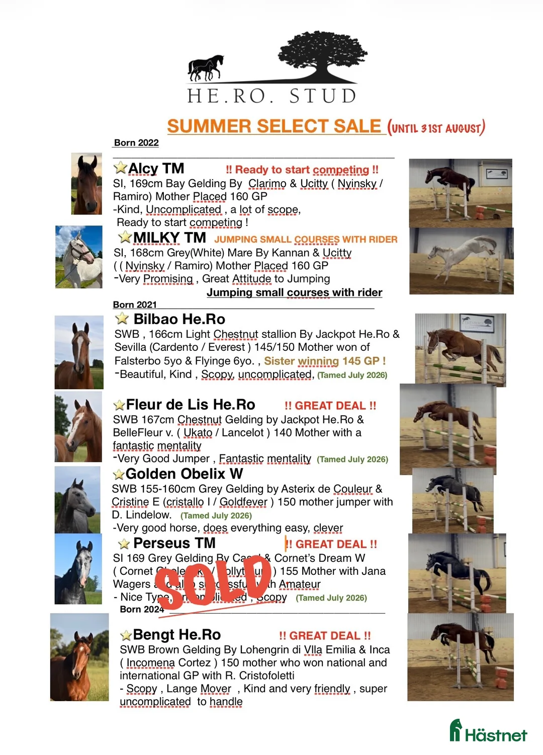 Hoppning hästar till salu: He.Ro Stud SUMMER SALE ! - Annons 1