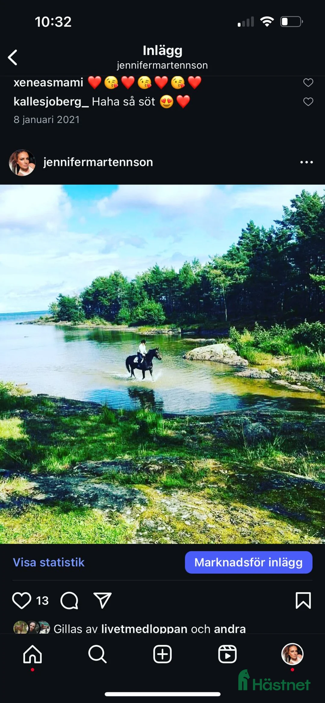 Fälttävlan hästar till salu: Min stjärna  - Annons 5