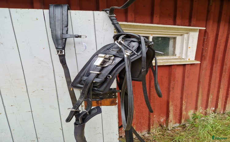Travselar trav till salu i Trollhättan - Annons 4