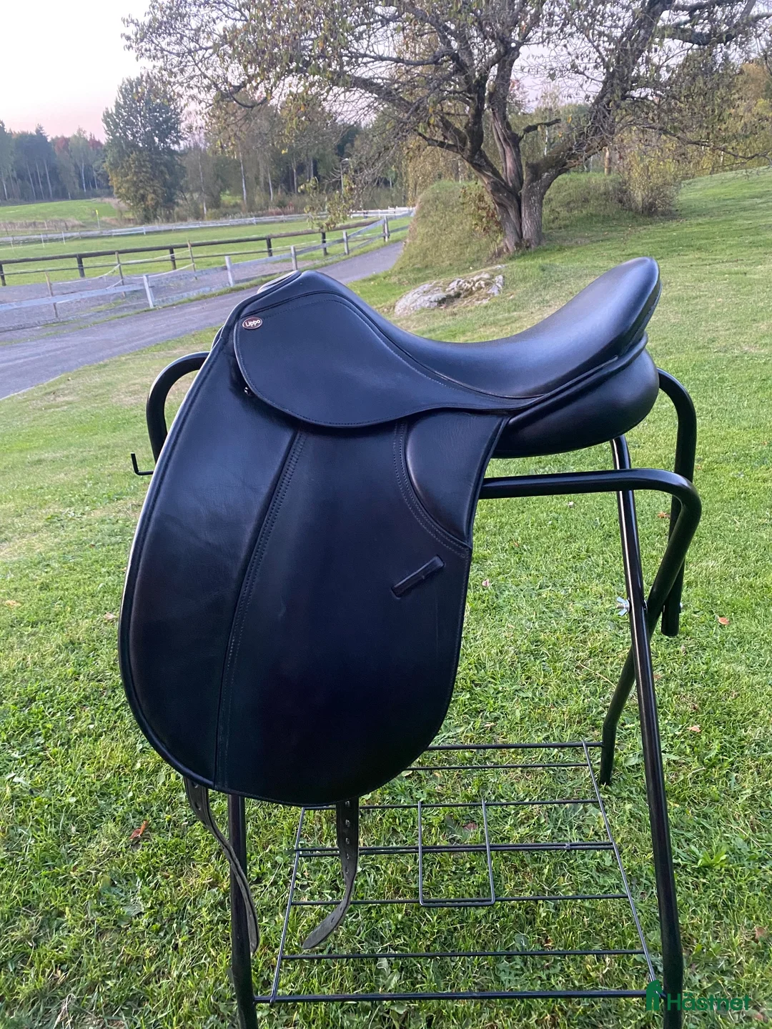 Sadlar hästutrustning till salu: Lippo Dressyr sadel Maranello 17” - Annons 1
